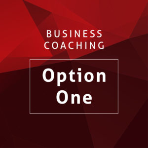 Business Coaching Option One