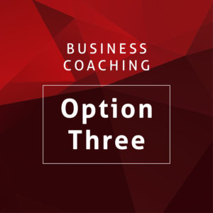 Business Coaching Option Three