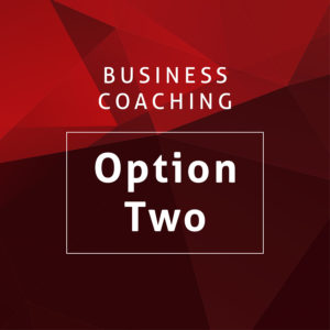 Business Coaching Option One