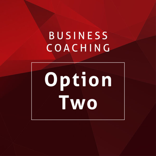 Business Coaching Option One